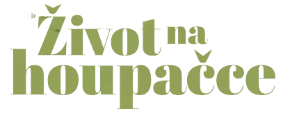 Logo Život na houpačce